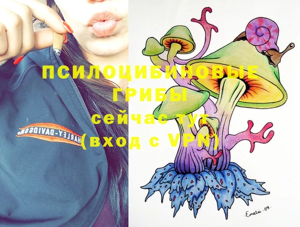 PSILOCYBIN Абинск