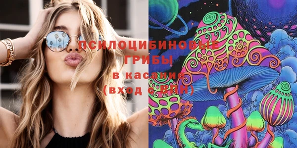 дживик Алзамай