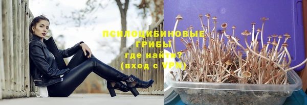 дживик Алзамай