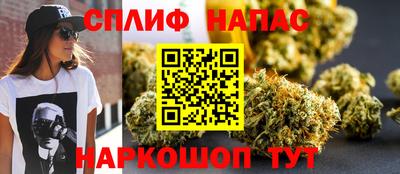 индика Нальчик