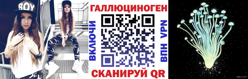 Псилоцибиновые грибы Psilocybe  Сургут 