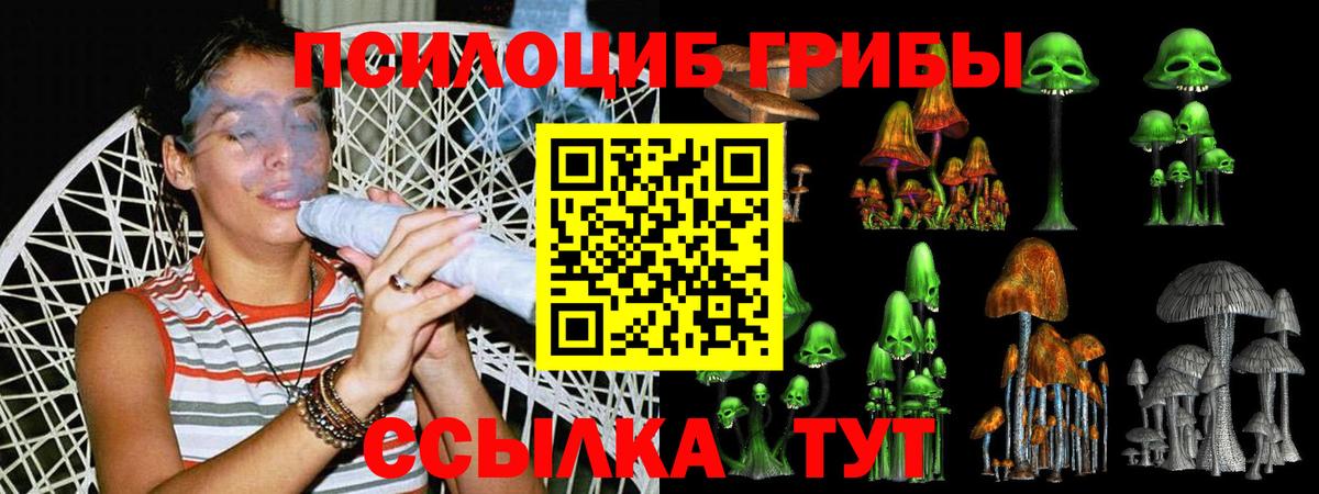 Псилоцибиновые грибы Psilocybine cubensis Сургут